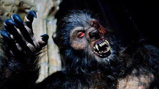 Filme Lobisomem Feroz (2026) | Tem Mais Lançamento Aqui 👉 @canal09tvoficial