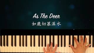 詩歌分享【As The Deer  如鹿切慕溪水】Piano cover with lyrics 鋼琴 - 符中英歌詞