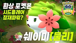 쉐이미 하고 싶은 거 다 해🌺🌺 GO배틀리그 9연승 뿌셔🌺🌺