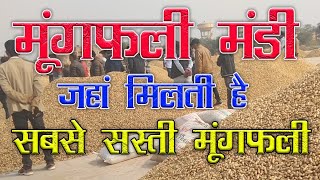 मूंगफली मंडी | peanut Mandi | Groundnut wholesale business