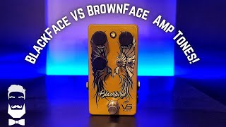 BLACKBIRD By VS AUDIO EFFECTS! BlackFace Vs BrownFace Vintage Amp Tones! Small Business Tuesday