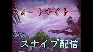 【FORTNITE】スクワッドスナイプ　※概要欄必読