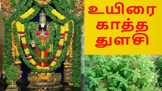 Thulasi Magimai in Tamil | துளசியின் மகிமை | Tulsi Story in Tamil | Offering Tulsi Leaves to Vishnu