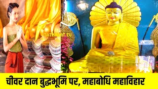 चीवर दान बुद्धभूमि पर, महाबोधि महाविहार /BUDDHA ROBES CHANGING AT MAHABODHI MAHAVIHARA BODHGAYA