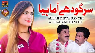 Sargodhay Aa Mahiya | Allah Ditta Panchi & Shahzad Panchi | (Official Video) | Thar Production