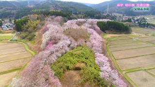 志乎・桜の里古墳公園　宝達志水町