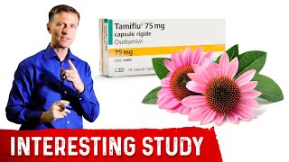 Echinacea is as Effective as Tamiflu for the Flu