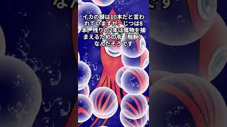 マナティの雑学　誰かに今すぐ話したくなる60