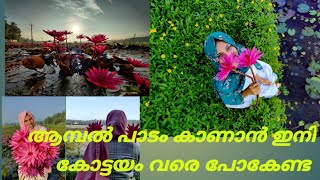 Cherumukk | Kodinhi | The Twin village | Aambal paadam vlog