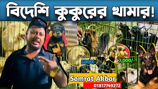 বিদেশি কুকুরের খামার। Somrat Akbor Doggy farm || বিদেশি কুকুরের বর্তমান দাম। ‎@SClubVlogs