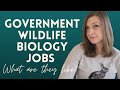 What is a Wildlife Biology Job Like in the Government?