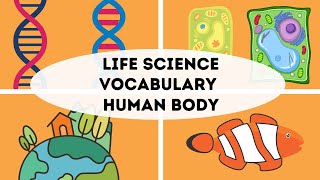 Life Science Vocabulary week 10