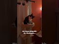 tuxskateers short 62 tuxskateers shorts pets cats kitten tiktok instagram youtube