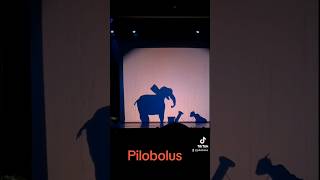 Microdose Pilobolus from Shadowland... making the circus elephant