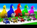 5 Giant Duck Cartoon, Cow, Chicken, Elephant, Tiger, Paint Wild Animals Crossing Fountain Animation