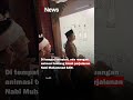 Ridwan Kamil ajak Tuan Guru Bajang Berkeliling Masjid Al-Jabbar Bandung #Shorts #Viral