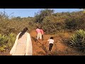 சென்னை சித்தாலப்பாக்கம் சிவன் மலை chennai sithalapakkam hill trek with kids