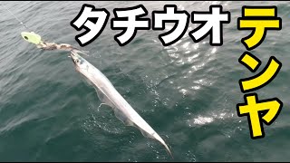 【太刀魚】タチウオテンヤ釣りに挑戦してみた【釣り初心者】