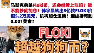 马斯克弟弟Floki币，还会继续上涨吗？能不能抄底加仓！孙宇晨转出3亿枚FLOKI价值5.2万美元，机构加仓进场！继续持有到0.001美金？Floki币|马斯克弟弟发行币|Floki币行情分析！