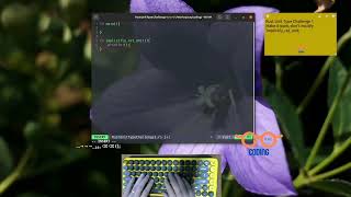Learning Rust Programming - Unit Type - Challenge 1 | ASMR Coding
