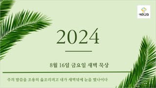 20240816 금 새벽 행 11장