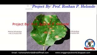 Apple Leaf Disease Detection Using CNN With Source Code Apple Leaf Disease Prediction Python Project