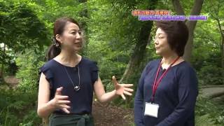 調布の魅力再発見！「国分寺崖線(若葉町地区)、実篤公園」(2016年8月12日号)