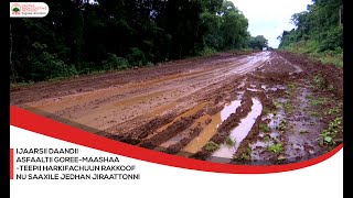 Ijaarsii Daandii Asfaaltii Goree Maashaa Teepii harkifachuun rakkoof nu saaxile jedhan jiraattonni