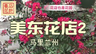 美东专业花店2 - 叶子的颜色和美花 - 马里兰州