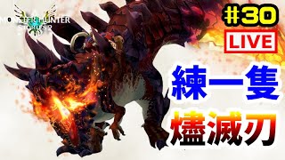 【魔物獵人物語2 破滅之翼】 #30 來練一隻 燼滅刃I 神秘數字79979