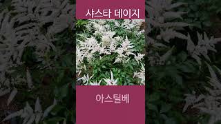 시골살이궁리소의 아침 0529