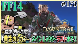 【FF14/ネタバレ注意】#173『黄金のレガシー メインクエスト Lv99～ラストまで耐久配信』【Gaia/Vtuber】