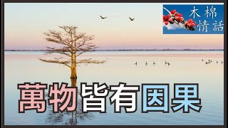 【木棉情話】萬物皆有因果，一念行善福祿至，心起因果禍遠離！