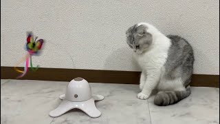 【蝶々】電動猫じゃらしで遊ぶ猫がまさかの…笑