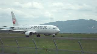 JAL　日本航空　ボーイング737-800（JA343J）　　【岡山桃太郎空港】