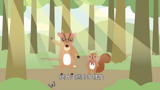 【創木森林ForWood】第二單元–2——森林經營