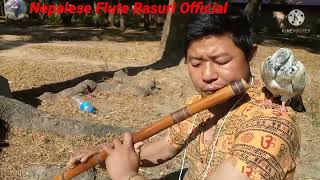 #Lou Suna ma Bhanchhu#Cover by Bashanta Chamling Original shwor samrat Narayan Gopal