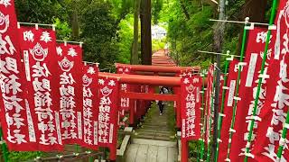 Sasuke Inari Jinja #onedaytrip #kamakura