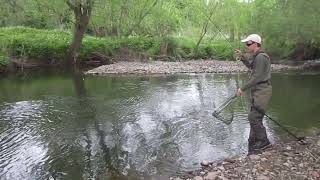 Fly Fishing the River Alyn - Lot 26 - 3