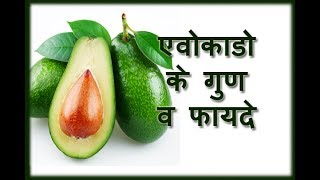 एवोकाडो के फायदे | एवोकाडो के गुण | Benefits Of Avocado | Health tips in Hindi