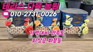 👩‍🌾 가격대비 만족도 최상급 화분들 🪴ㅣ 테라스 다육 농원/010-2731-0026