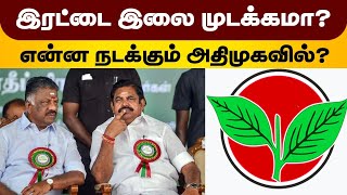 இரட்டை இலை முடக்கமா? என்ன நடக்கும் அதிமுகவில்? | OPS | EPS | ADMK |