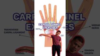 Carpal tunnel exercise routine. #carpaltunnelsyndrome #carpaltunnel #wristpain #healthy #health