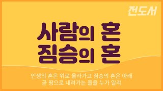 사람의 혼, 짐승의 혼 (전도서3:18-22)