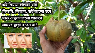 চালতা ফল এর উপকারিতা | চালতার গুনাগুন | চালতা খাওয়ার নিয়ম