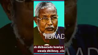 shacabka hawiye 3 koox canshuur baad ka qaatan xamar cidi diidaaya waa buugbuug