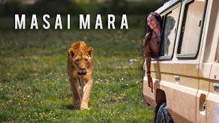 Is a Masai Mara Safari Worth the Hype? (Honest Opinion)