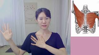 말린 등 펴기 답답한 가슴 깊은 숨을 만들어 주는 대흉근 호흡 스트레칭 유챌 가슴펴기