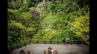 Senderos Webinar on Lapa Rios Rainforest Lodge, Osa Peninsula, Costa Rica, March 2021