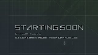 Раздача скинов cs2  10lvl Faceit